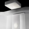 NELLY Straight 100 - Ceiling / Wall Lights